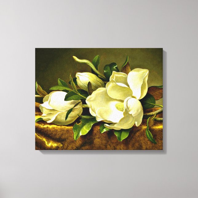 Heade - Magnolias on Gold Velvet Cloth  Canvas Print (Front)