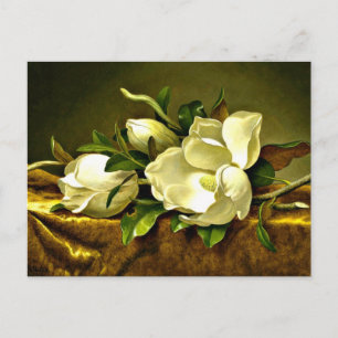 Heade - Magnolias on Gold Velvet Cloth Postcard