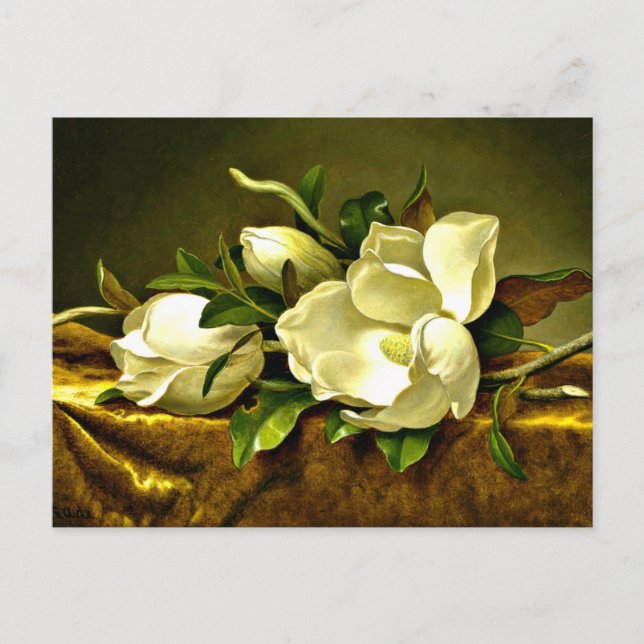 Heade - Magnolias on Gold Velvet Cloth Postcard (Front)