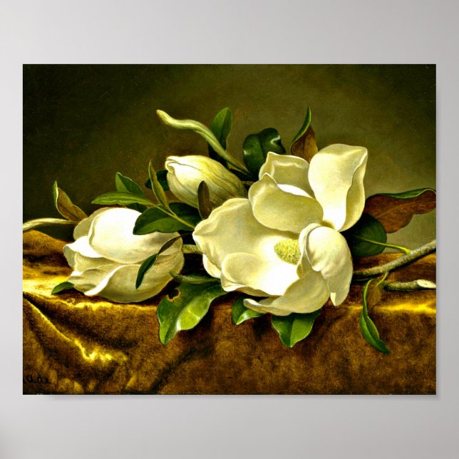 Heade - Magnolias on Gold Velvet Cloth Poster (Front)