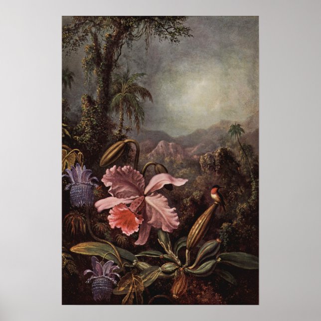 Heade - Orchid And Hummingbird 1880 Poster (Front)