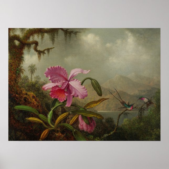 Heade - Orchids And Hummingbirds 1875 Poster (Front)