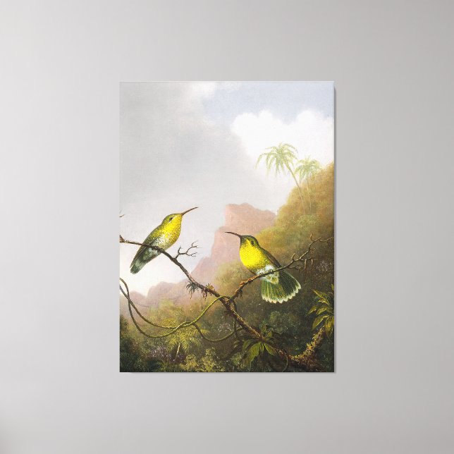 HEADE  Two Humming Birds Copper-tailed Amazili - Canvas Print (Front)