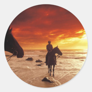 Heading For Home Classic Round Sticker