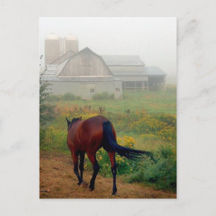 Heading Home Postcard