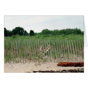 Heading to the Beach