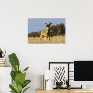 Heads up Poster
