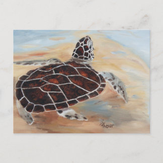 Head's Up Turtle Postcard
