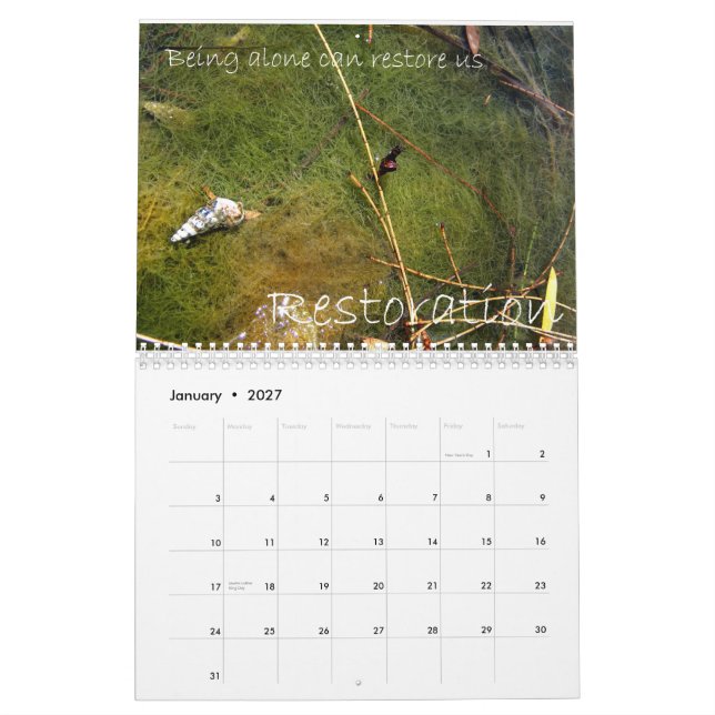 Heal Yourself Calendar (Jan 2027)
