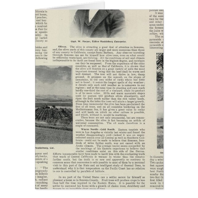 Healdsburg, California (Front)