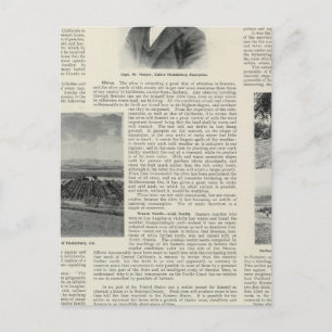 Healdsburg, California Postcard