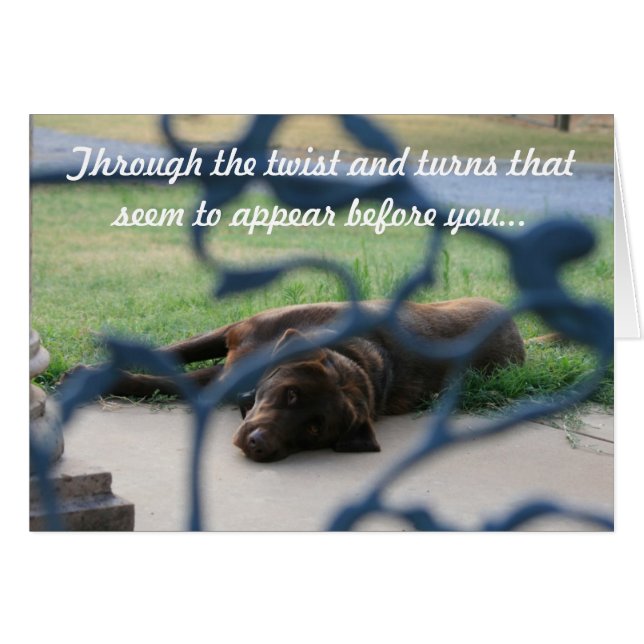 healing (Front Horizontal)