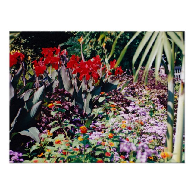 Healing Garden Poster (Front)