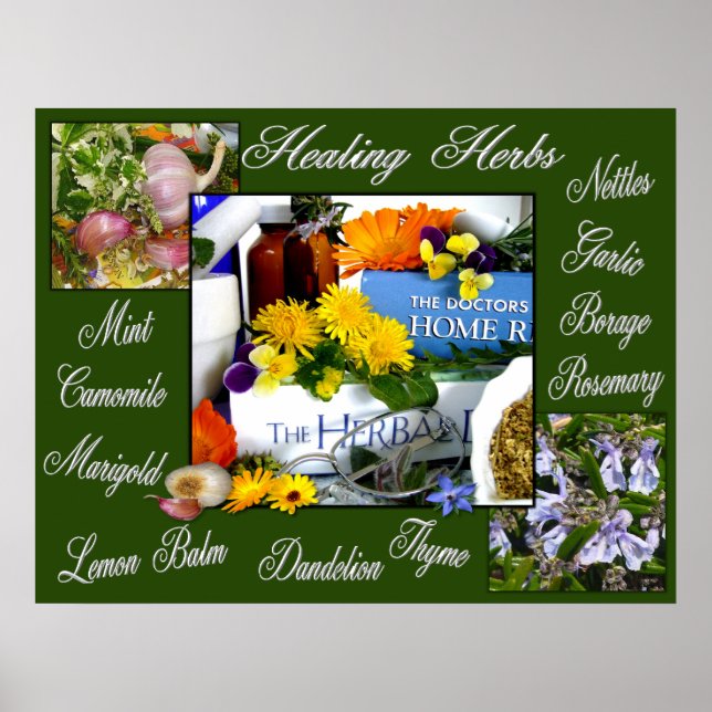 HEALING HERBS ~ Poster (Front)
