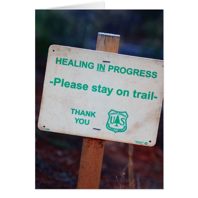 Healing In Progress (Front)