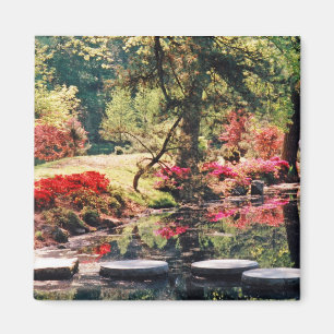 Healing Path Magnet