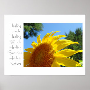 Healing Touch art prints Yellow Sunflower Floral
