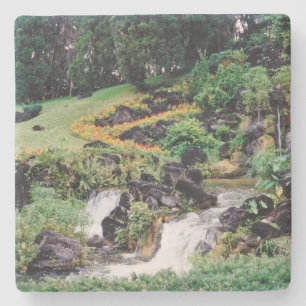 Healing Water Stone Coaster