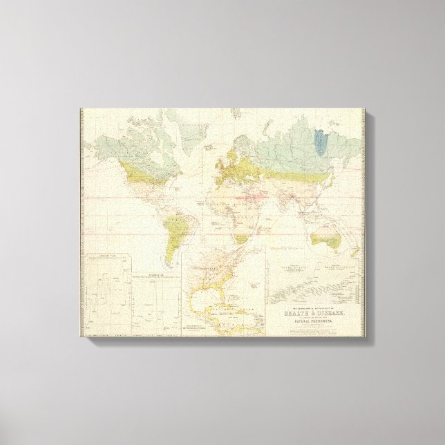 Health, disease canvas print (Front)