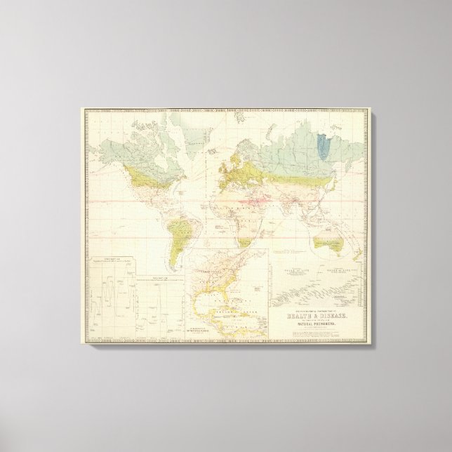 Health, disease canvas print (Front)
