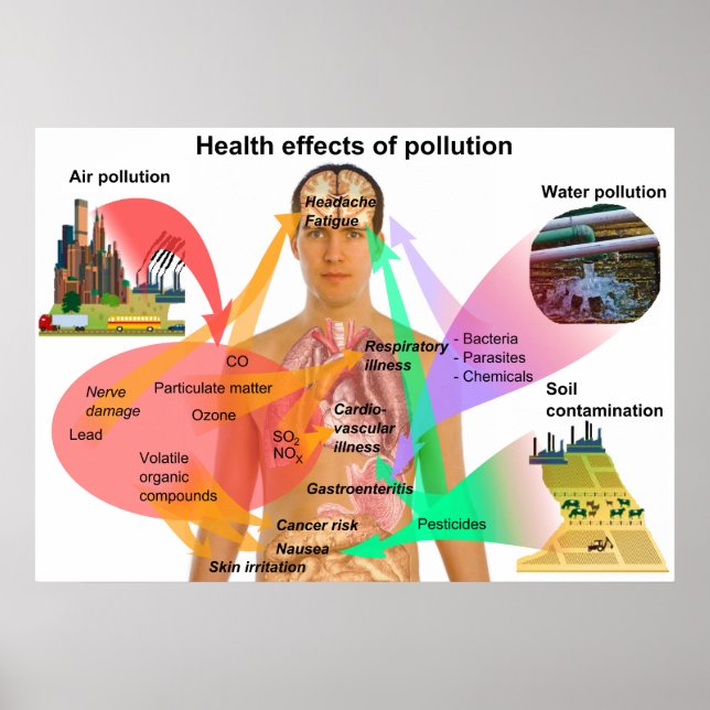 Health Effects of Pollution on the Human Body Poster (Front)