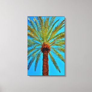 Healthy Date Tree Canvas Print
