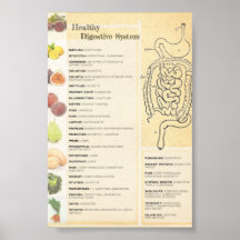 Healthy Digestive System