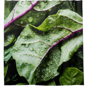 Healthy Fruits Shower Curtain