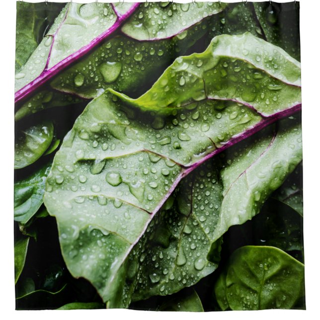 Healthy Fruits Shower Curtain (Front)