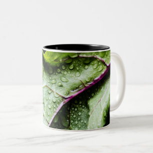 Healthy Fruits Two-Tone Coffee Mug
