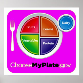 Healthy Meal Planning Choose My Plate Poster