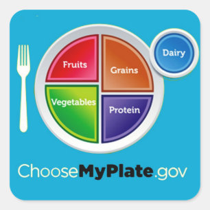 Healthy Meal Planning Choose My Plate Square Sticker