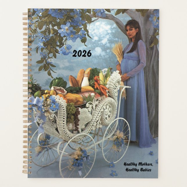 Healthy Mothers, Healthy babies 2026 Planner  (Front)