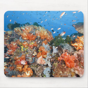 Healthy reef structure, Komodo National Park Mouse Mat