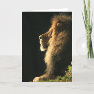 Hear Comes the Sun Card