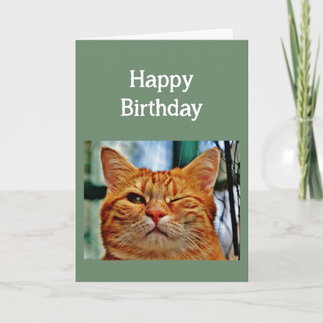 Heard it was your 30 Birthday again Fun Age Cat Card (Front)