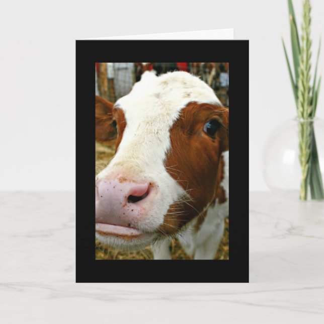 Heard You Mooved! Happy New Home Card (Front)
