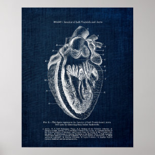 Heart Anatomy Art no.3 Interior View Poster