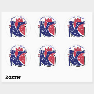 Heart Anatomy- Classic Round Sticker