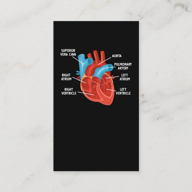 Heart Anatomy Education Cardiology Business Card (Front)
