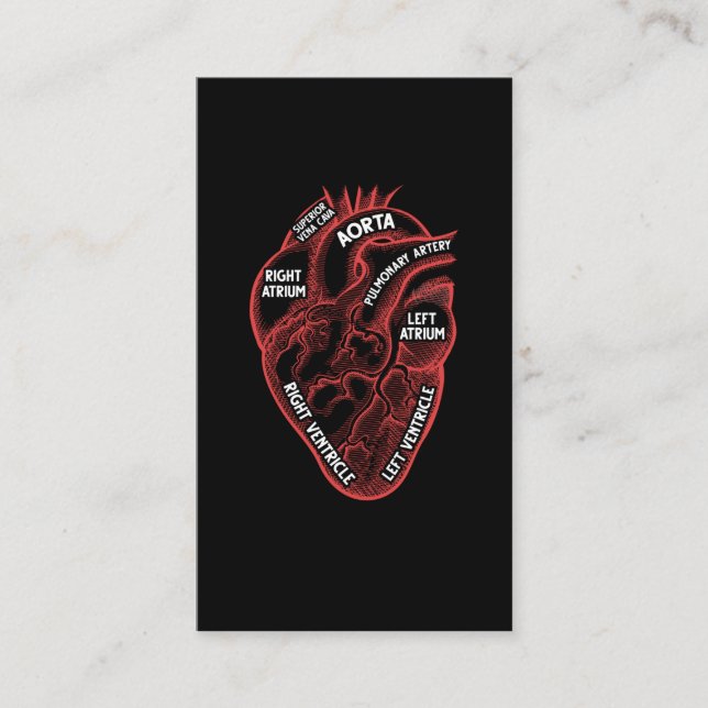 Heart Anatomy Education Cardiology Business Card (Front)