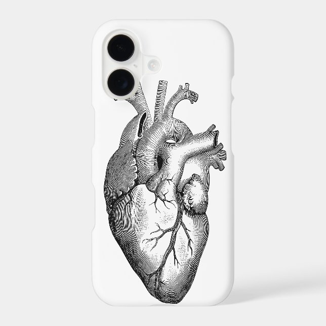 Heart Anatomy Science (Back)