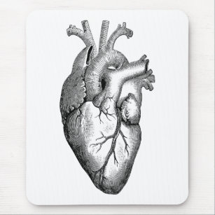 Heart Anatomy Science Mouse Mat