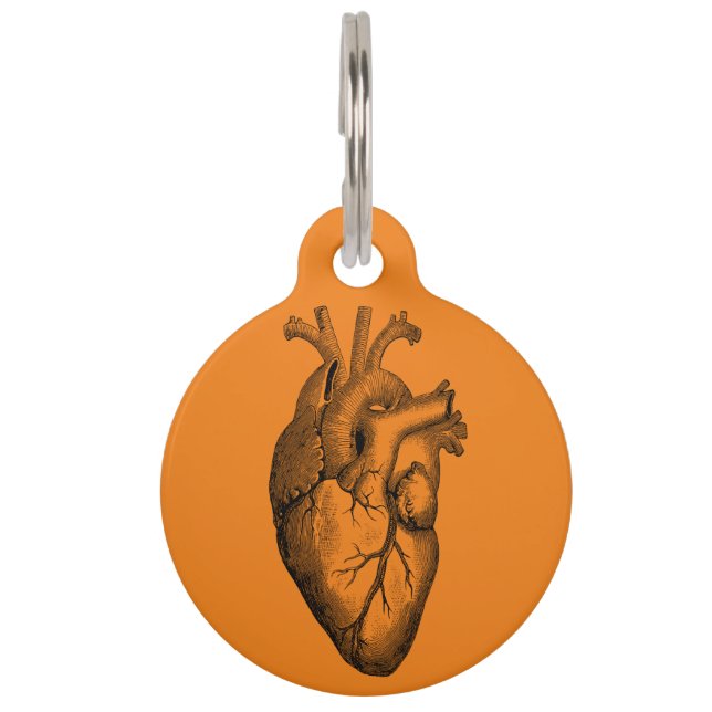 Heart Anatomy Science Orange Pet Tag (Front)