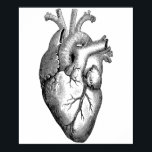 Heart Anatomy Science Poster<br><div class="desc">Vintage Design</div>