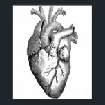 Heart Anatomy Science Poster<br><div class="desc">Vintage Design</div>