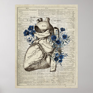 Heart Anatomy with Blue Flowers Dictionary Art Poster