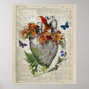 Heart Anatomy with Flowers Butterflies Hummingbird Poster