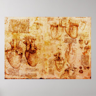 Heart And Its Blood Vessels , Brown Poster
