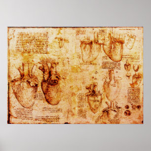 Heart And Its Blood Vessels , Brown Poster